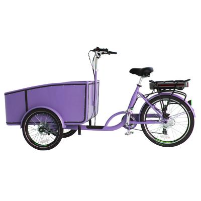 China Front Loading Electric Tricycles 3 Wheel Aluminum Box Passenger 36V 250W Electric Cargo Bike Supplier for sale