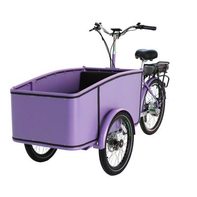 China Front Loading 36V 250W Electric Family E-Bike E-Bike Passenger Three Wheel Cargo Bike Electric Bicycle With Aluminum Box for sale