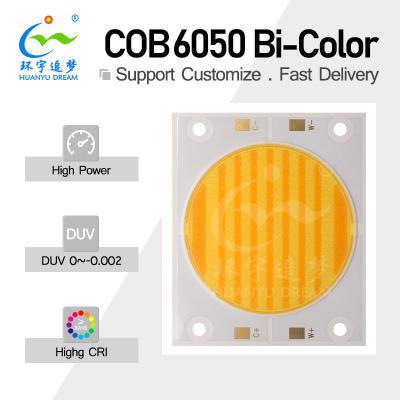 China High Lumen Output Dual Color COB LED 200W 200W 300W 300W 3838 5454 6050 Chip 2700K 6500K Ra98 Voor fotografie licht Te koop