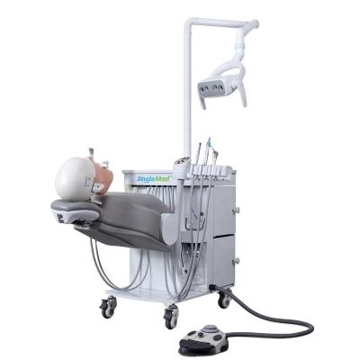 China A15 Plastic Preclinical Training Dental Model Electrical Simulation Trainer Movable For Students for sale