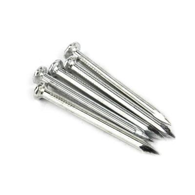 China Factory Direct Galvanized Common Iron Cap / Concrete Nail Nail With Best Quality for sale