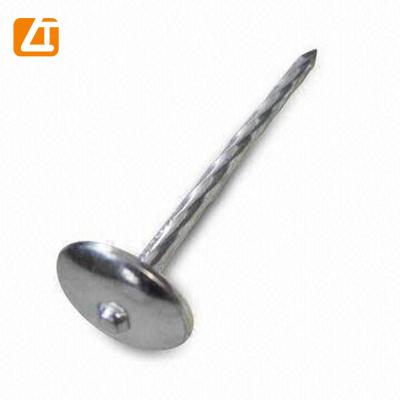 China Head Umbrella Umbrella Zinc Nails For Joint Roofing for sale