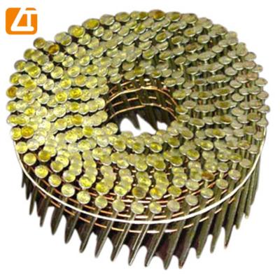 China Galvanized Collated Flat Ring Shank Coil Nails 15 Degree Screw Shank For Nail Guns for sale