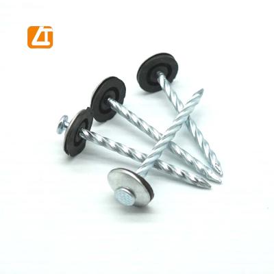 China Hot Selling Electric Galvanized Mushroom Stainless Steel Twist Nails for sale