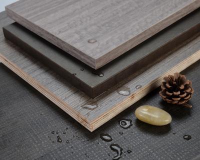 China Modern Plywood Boards Plywood Panels 9mm Stickers Hardwood Plywood for sale