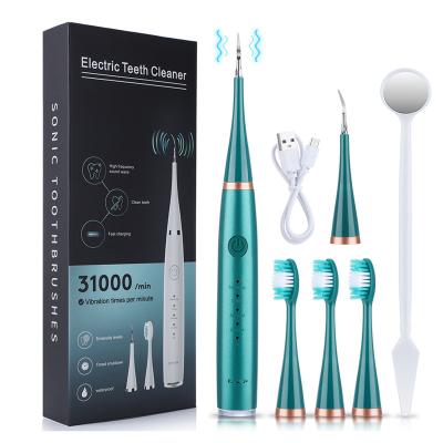 China Remove Ultrasonic Dental Sonic Tartar Remover Tooth Scaler Remover Dental Plaque Calculus Calculus Teeth Plaque Remover Kit for sale