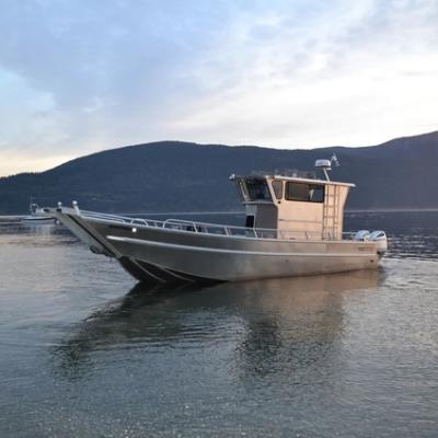 China NEW Style 33ft Safety Welded Hard Top Aluminum Working Fishing Cruiser With Cabins for sale