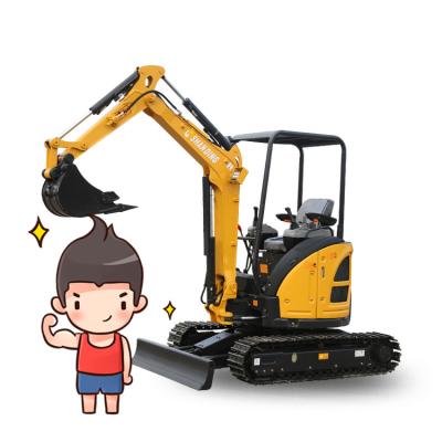 China Hot Selling Shanding Construction\Agriculture Mini Bagger 3t Ditch Digger Mini Bagger Digger for sale