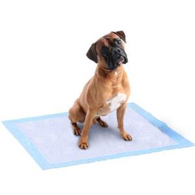 China Sustainable Economical Biodegradable Custom Training Mat Waterproof Pet Pads for sale