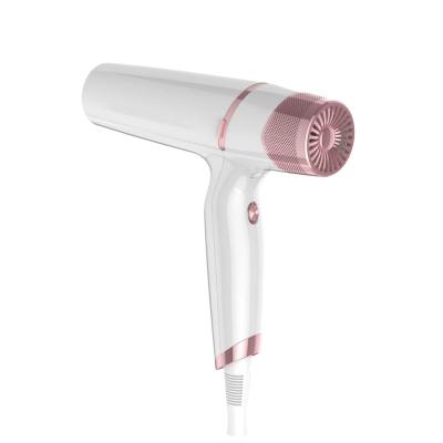 China Ionic Light Household BLDC Hair Blow Dryer Lower Noise Hair Dryer for sale