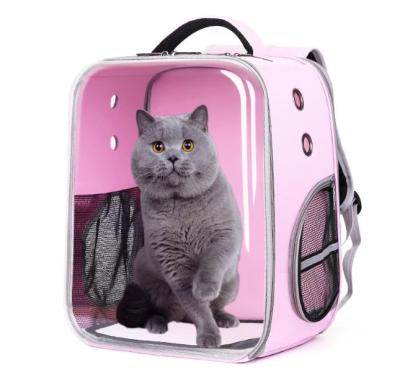 China 2020 Sustainable New Pet Carrier Backpack Transparent Large Space Pet Bed For Travel for sale