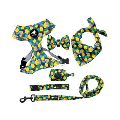 China OEM/ODM Workable Polyester Adjustable No Pull Dog Leash Collar And Harness RTS Set for sale