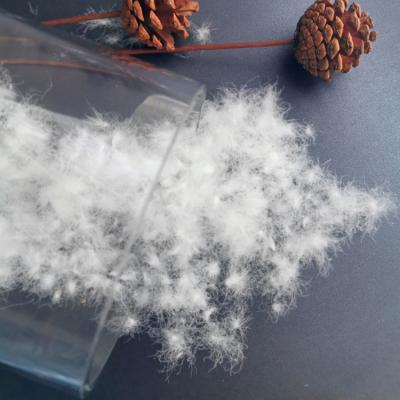 China Superior Guality Duck Down 95% Large Washed Muscovy Duck Feather Down White for sale