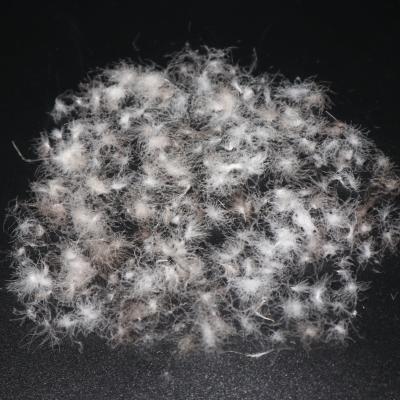 China Duck Down New Product Wash Down Material Gray 80% Duck Down 20% Feather for sale