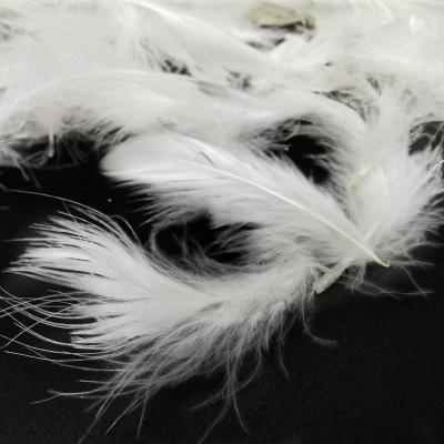 China 2-4 cm Goose Down Feather/White Goose Feather/Washed Goose 95% Natural Raw White Duck Down Feather for sale