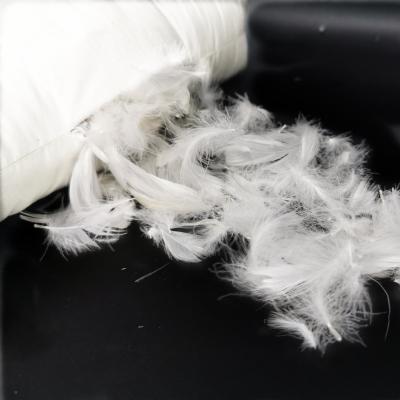 China Hot White Duck Feather Factory Price Soft Duck Feather Whole Duck Down for Home Textiles for sale