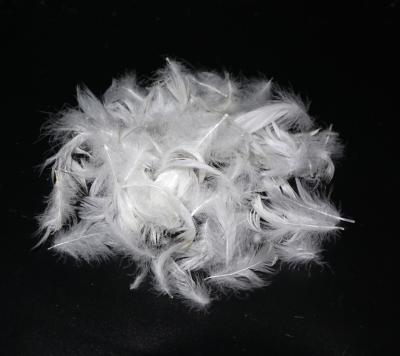 China Duck Feather Best Price Top Quality Duck Down Feather and Goose Feather for sale