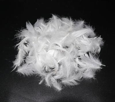 China Duck Feather wholesale supplier cheap price washed white duck feather 50% low and feather for sale