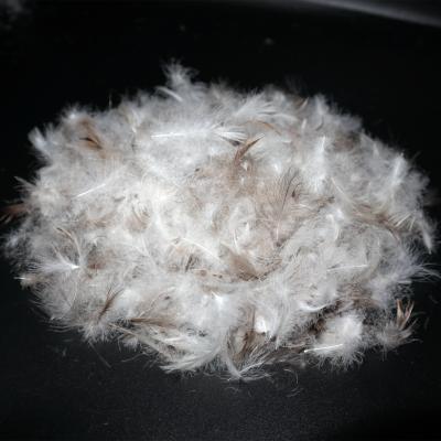 China Factory Supplier 30/70 Ultralight Washed Gray Duck Down Feather Down for sale