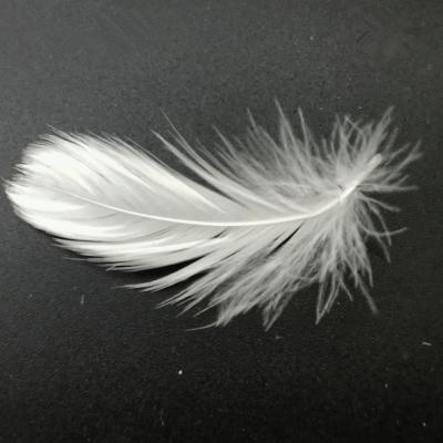 China 2-4 cm wholesale high quality goose feather bedding inserts and duck feathers for sale 2-4cm for sale