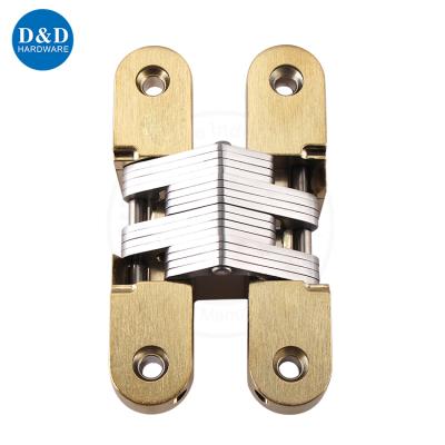 China 180 Degree Modern Zinc Alloy Satin Cast Brass Invisible Exterior Door Fitting Concealed Hinge for sale