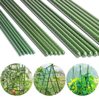 China Waterproof Plant Metal Plant Support Stick Plastic Coated Garden Stakes Plant Support Stick For Plants To Grow for sale