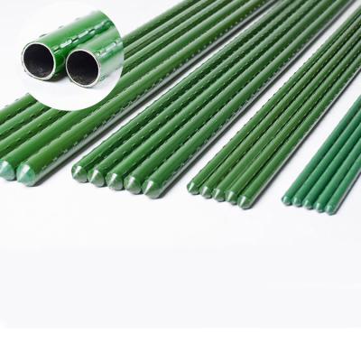 China Custom Waterproof Pe Coated Garden Plant Support Stick Garden Stakes Plant Stake Metal Garden Support Trellis Plant Stakes for sale