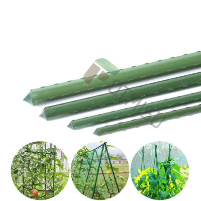 China Waterproof Garden Flower Stand Garden Plant Support Climbing Spiral Tomato Stakes for sale