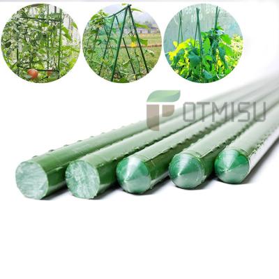 China Green Plastic Coated Trellis Waterproof Plastic Coated Potted Vine Flower Plant Flower Plant Support Stake Garden Indoor Plants Garden Bundle for sale