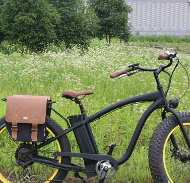 China 0 - 38km/H het Snelheidsvet reed bergfiets, de elektrische bijgestane fiets van Shimano Derailleur Te koop