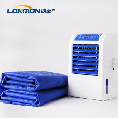 China Water Cooled Cooling Air Mattress 12V DC Low Power Summer Cooling Mattress Pad 160cm*70cm for sale