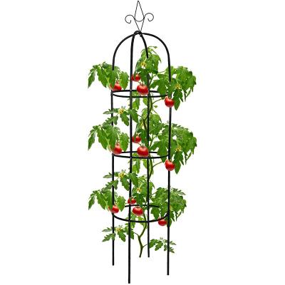 China Decorative Outdoor Country Metal Plant Flower Obelisk Trellis For Trellis Plant for sale