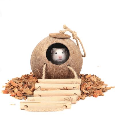 China Environmental Friendly Guinea Pig Mice Hoard House For Rats Rodents Nest Small Hamster Hideout Accessories Natural Pet Coconut Wood Cages for sale