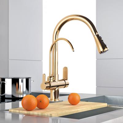 China Double Water Outlet Spout Gold Kitchen Faucets Pull Out Filtration Faucet Hot Cold Water Faucet For Kitchen Three Ways Pull Down Mixer Kitchen Faucet 360 Rotate Deck M for sale