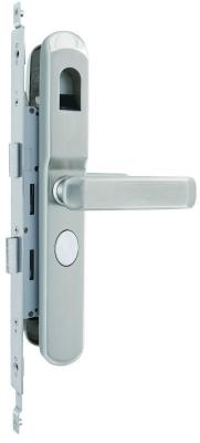 China Biometric Fingerprint Lock for European Archetecture Doors with Thin Narrow Decorative Door Frames for sale