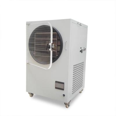 China 750w Secador de vácuo Laboratório Secador Forno pequeno secador de congelamento de vácuo 145*275mm Secador de congelamento doméstico à venda