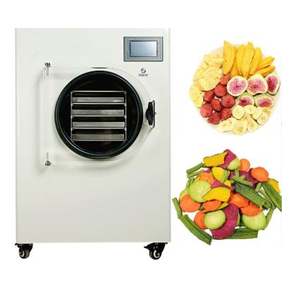 Cina Piccolo Mini Home Vacuum Freeze Dryer per frutta e l'essiccatore di gelata di Vegertables in vendita