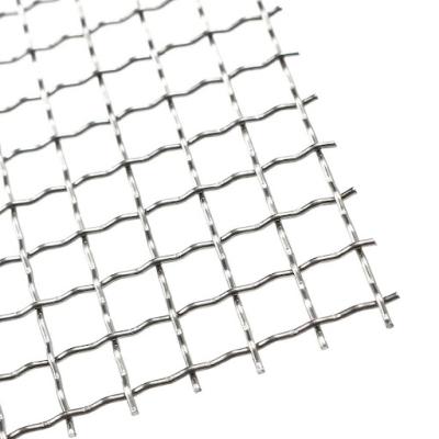 China Contemporary Double Crimped Wire Mesh for sale