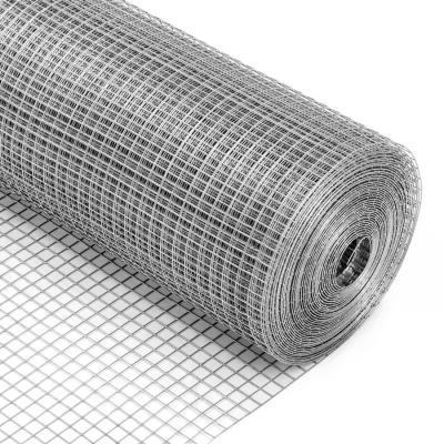 China Traditional welded wire mesh in roll for sale