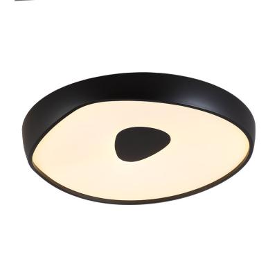 China Modern Lights For Home Modern Bed Room Lighting Smart Home Ceiling Lamp for sale