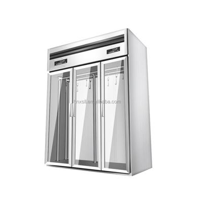 China Fresh Meat Refrigerator Freezing Equipment Freezer Display Freezing Direct Cooling Hanging Freezer for sale