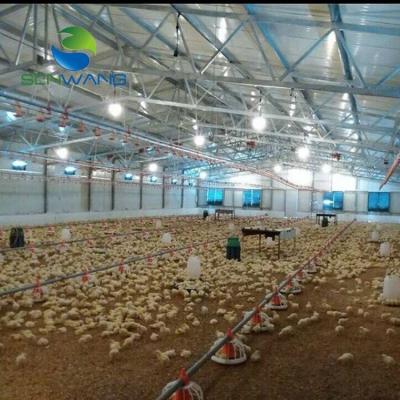 China Open Side View Room Flat Pack Poultry Shed Chicken House In Pakistan for sale