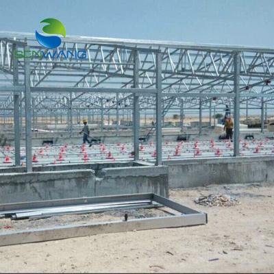 China Manufacture China Poultry Farm Steel Structure Steel Structural Shed Chicken House For Sale for sale