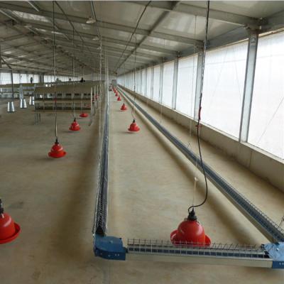 China Modern Light Gauge Steel Frame Price Chicken Farming House Steel Structure Poultry Shed for sale