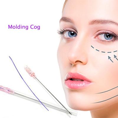 China Best price safe and reliable type W needle pdo eye threads with wrinkle removal for beauty for sale