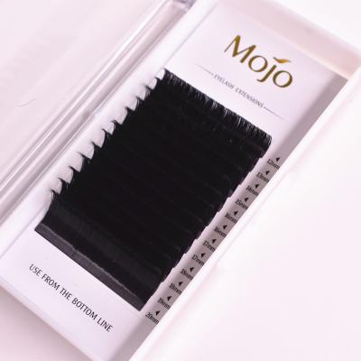 China Easy Rocket Lash Long Natural Eyelash Extensions from Mojo Supplies Easy Blooming Fan for sale