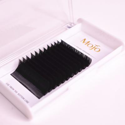 China Mojo Fan Natural Easy Long Eyelash Custom Packing Individual Lashes Extension for sale