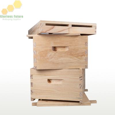 China High Quality Wooden Langstroth Bee Hive Glorious Future Beekeeping Supplies For Beekeeper for sale