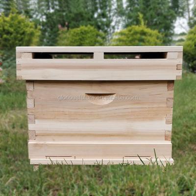 China Apicultura House of Beekeeping Beekeeping One Layer Brood Box Nest Box Langstroth Hive Bee Hive for sale