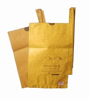 China Waterproof Grapefruit Developed Brown Yellow Raincoats Breathe Paper And Paper Bag for sale